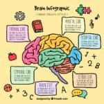 Governando Emoções: O Desenvolvimento Cerebral Infantil e Seu Impacto na Humanidade